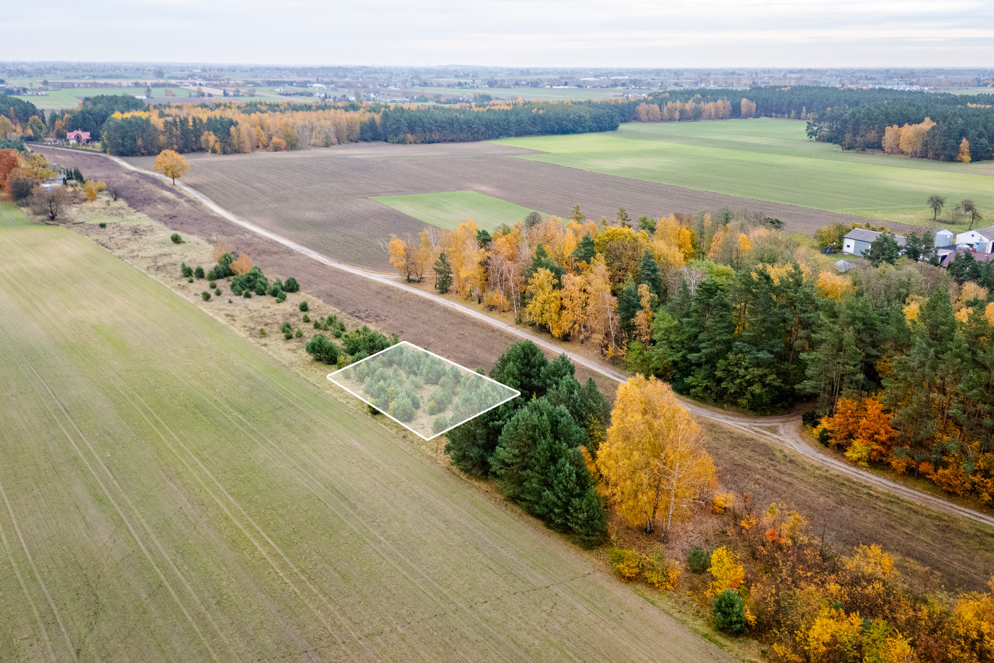 Działka budowlana bezpośrednio przy lesie